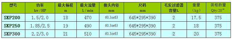 北美款SKP系列泳池泵的型号参数表